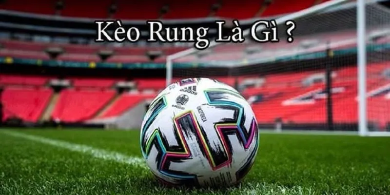 Nghiên cứu kèo rung là gì